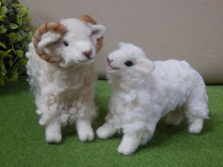 羊毛羊