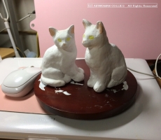 ClayCats150506p900