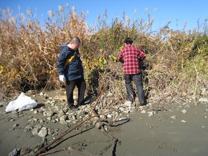 2014年12月6日干潟清掃で「渡り鳥サポーターになろう！」with gemaltさん⑩