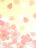 桜ポストカード-2