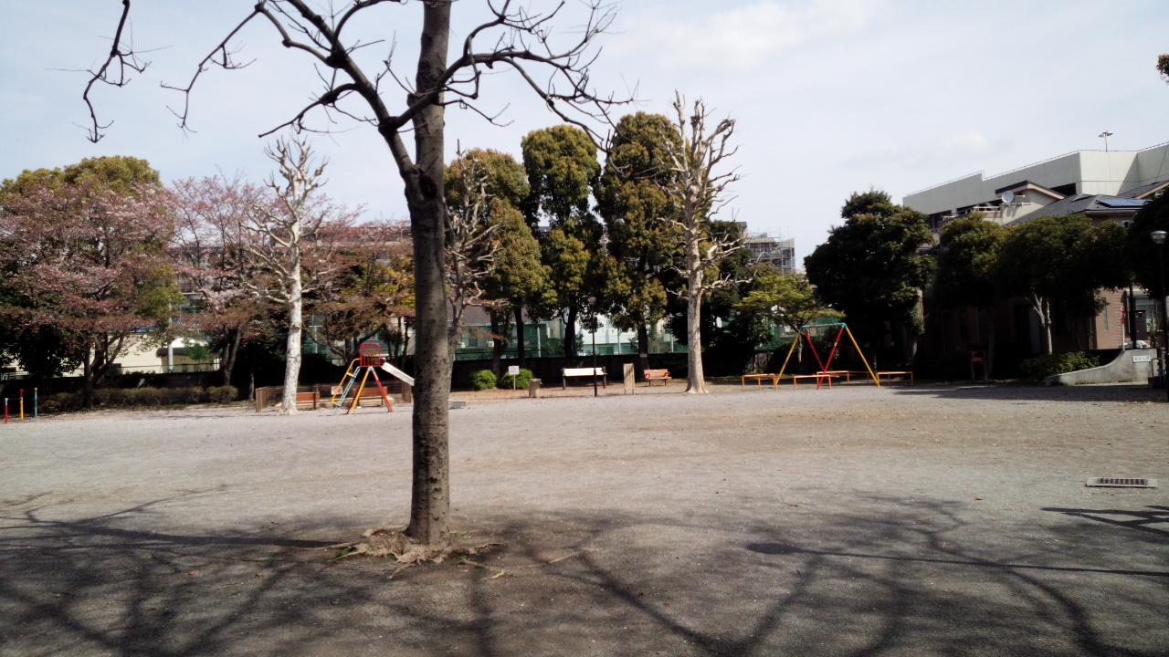 若松公園