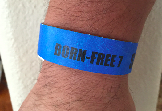 Born Free 7