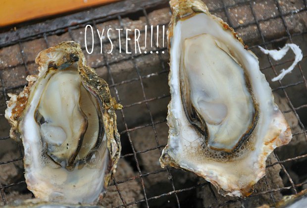 oyster0489.jpg