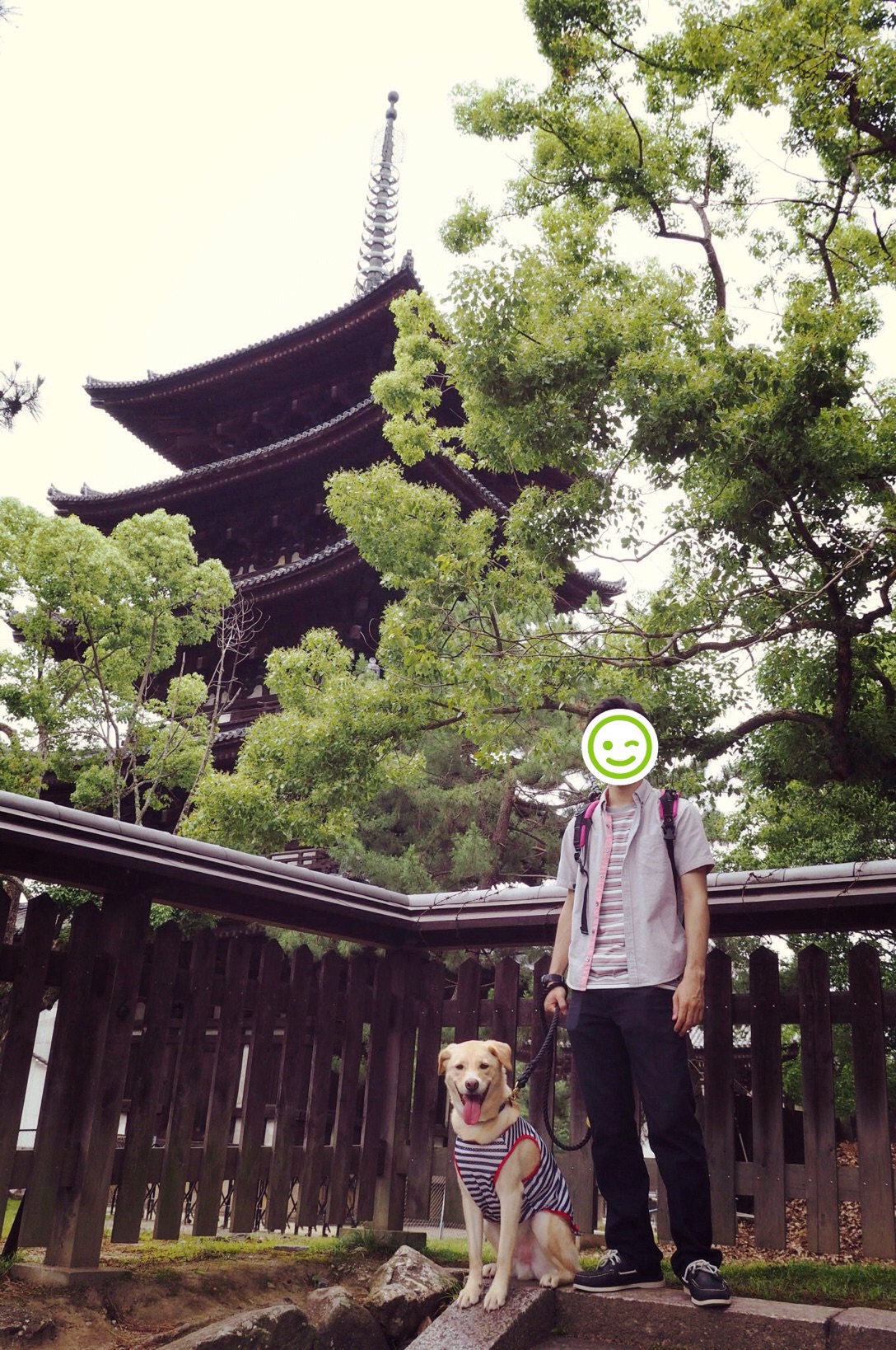 奈良旅行 大型犬 わんこ