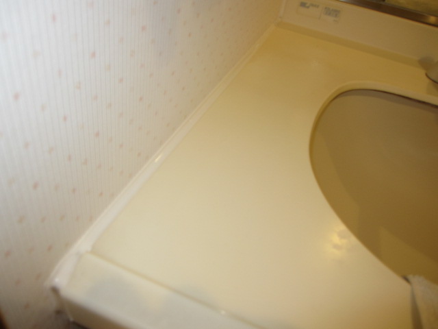 埼玉県所沢市　分譲マンション　水周りコーキング　洗面所手洗い器周り　作業完了後　３