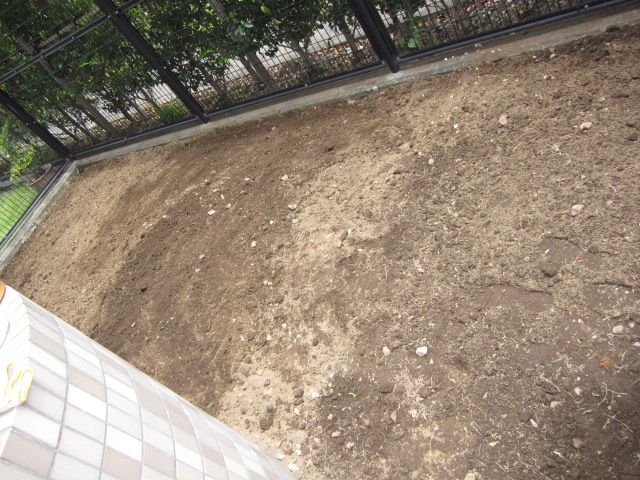 埼玉県所沢市　分譲マンション専用庭　草取り・ゴミ処分・不用品処分　作業完了後　２
