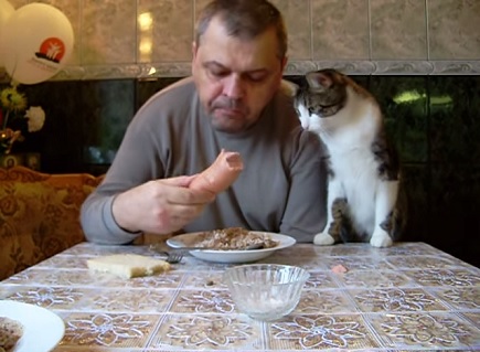分けて欲しいな 飼い主さんの食事をじっと見つめる猫 動画 面白いもの集めました
