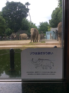 上野動物園　１・３