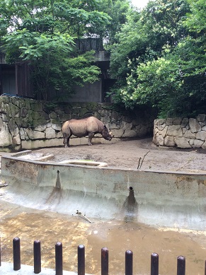 上野動物園　１・４
