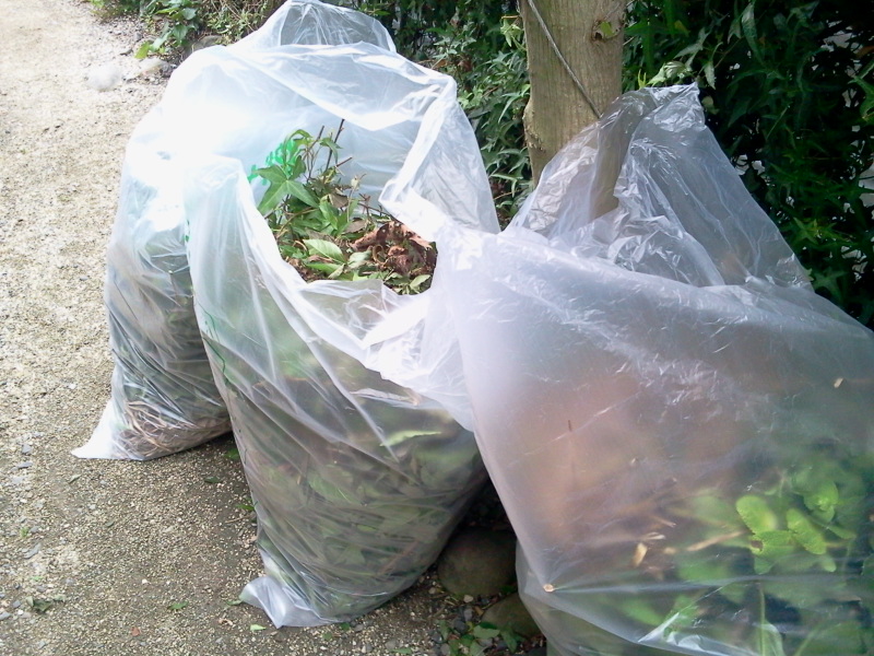 雑草と枝葉ごみ45L袋が3個