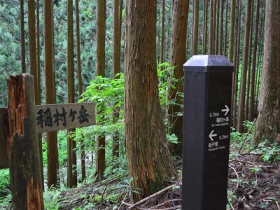 2015-5-23　稲村ヶ岳_R013