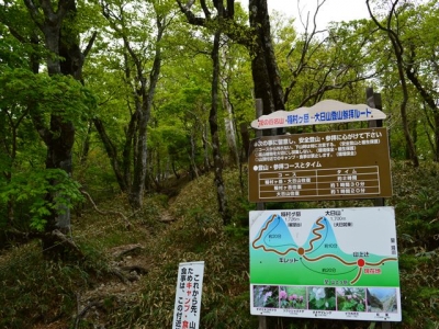 2015-5-23　稲村ヶ岳_R053
