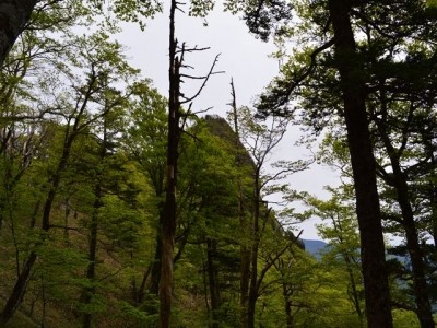 2015-5-23　稲村ヶ岳_R062